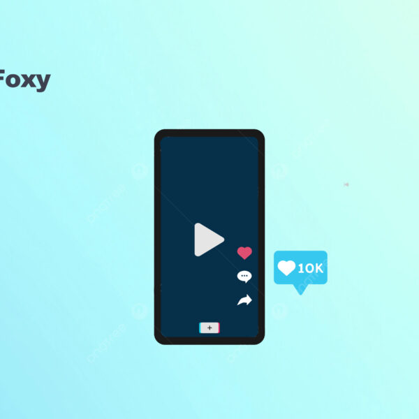 TikTok显示网…
