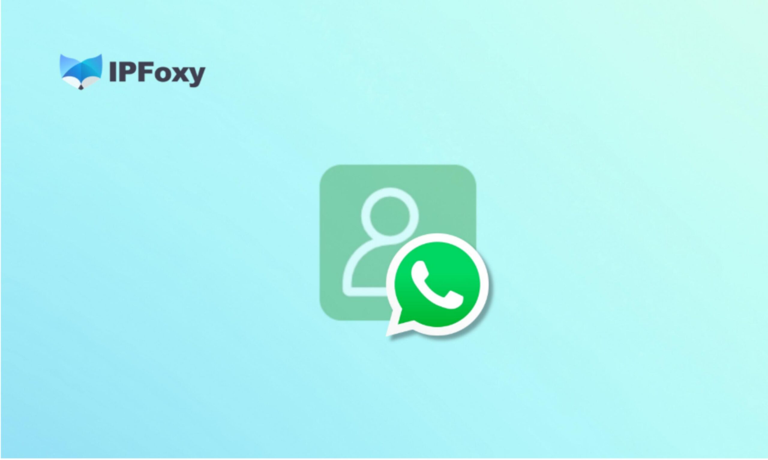 WhatsApp养号指南：2025最新全方位攻略