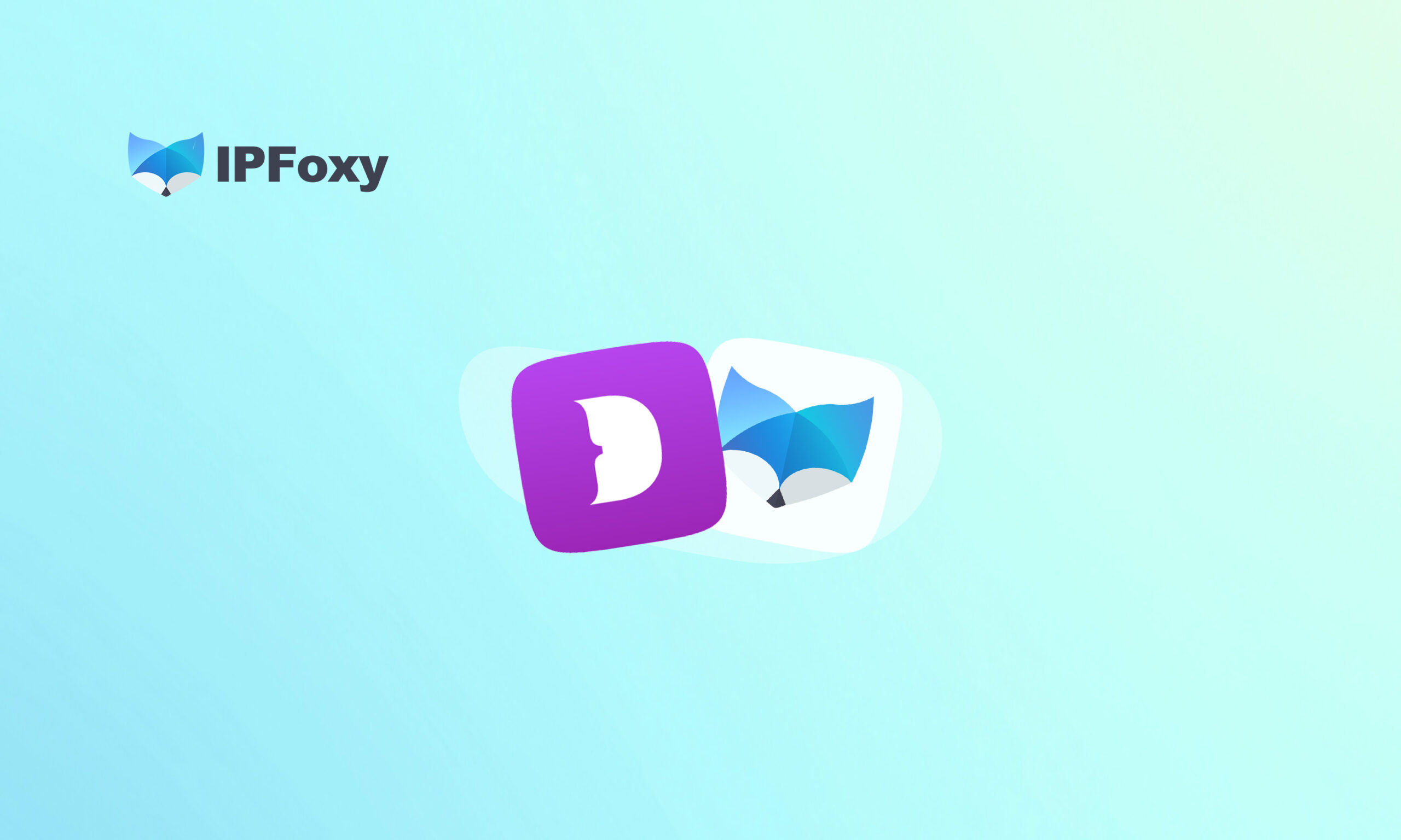 Dolphin Anty Browser:Powerful Combo with IPFoxy for Webmasters & Marketers