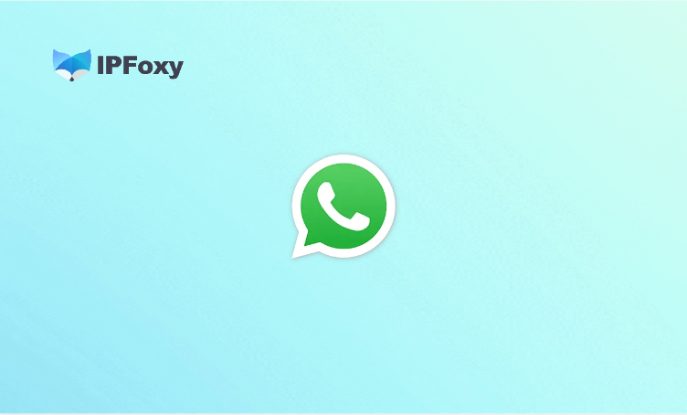 Why WhatsApp Client Developmen…